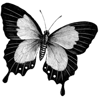 Grettell Ortega profile picture