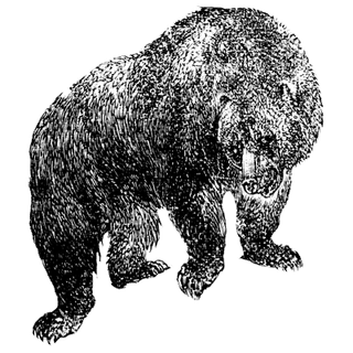 EhVQhBSPcCxubm profile picture