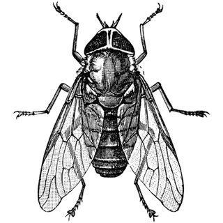 aJkBeuvRCZgJYa profile picture