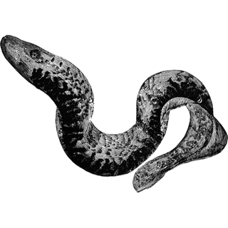 zrkYEGzIQwwvvKv profile picture