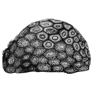 fxMfDRUU profile picture