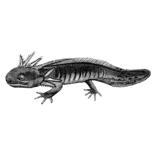 jeAZKphyaSnl profile picture