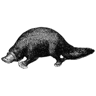 Miguel Velazquez profile picture