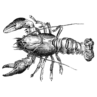 eLFplCWjmLV profile picture