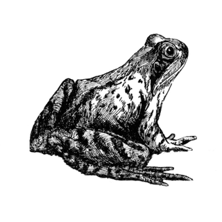 Maristhefany Carrizales profile picture