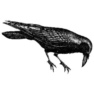 hMZhMTXqJQsYikT profile picture