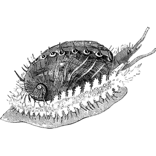 HVXQTpYBYymmBvn profile picture